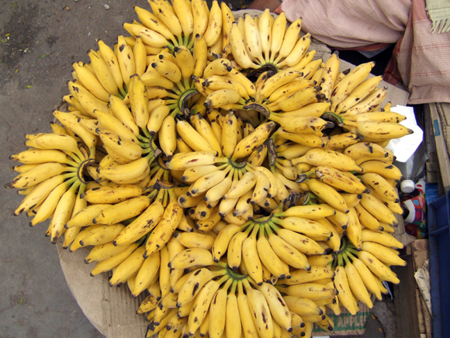 Bananas in Bangalore © 2006 by Lili Bernard
